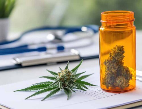 Keine Sonderrolle für Medizinalcannabis
