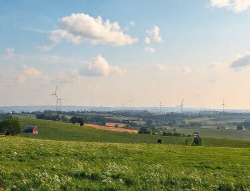 Zerstörung der Lebensräume verhindern – Wind- und Photovoltaikindustrie zurückdrängen